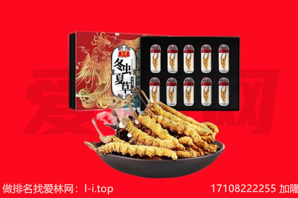 鹤岗回收虫草.jpg